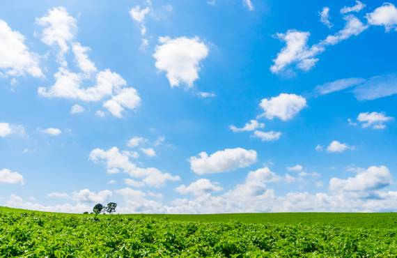 中学生の定期試験対策なら日野市の進学塾「誠亘会」