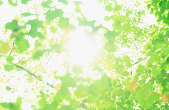 誠亘会の春期講習は、日野市内の各小中学校学校の新入学・新学年に向けた万全な準備を行います。